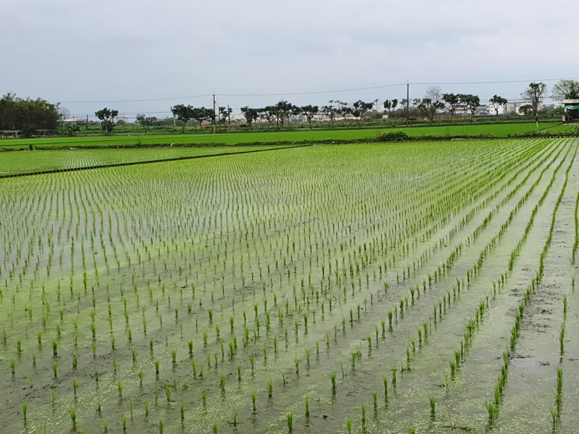 Yilan Xiang Feng Homestay Wujie Buitenkant foto